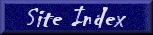 Website Index